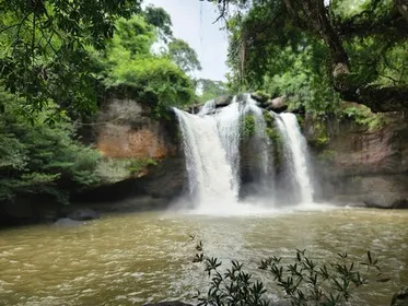 Khao Yai day trip: how to get to Khao Yai National Park from Bangkok